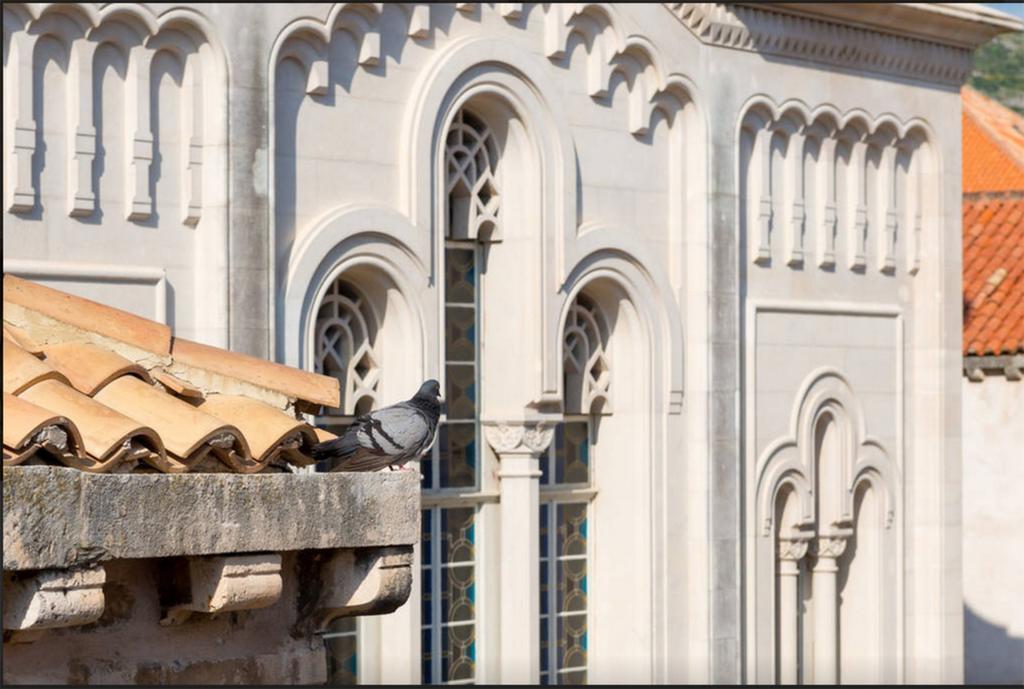 Apartment Saraka دوبروفينك الغرفة الصورة